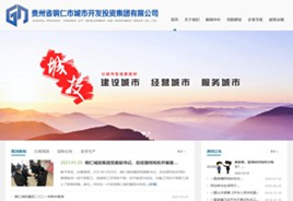 射阳城市开发投资集团有限公司