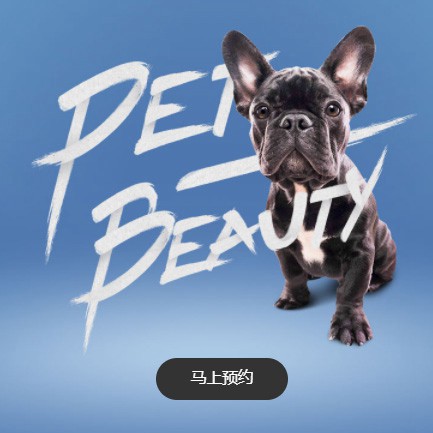 射阳宠物中心小程序开发