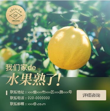 射阳果园果林小程序开发